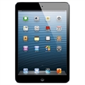 Picture of Apple iPad Mini1 16GB Wifi Black/Slate